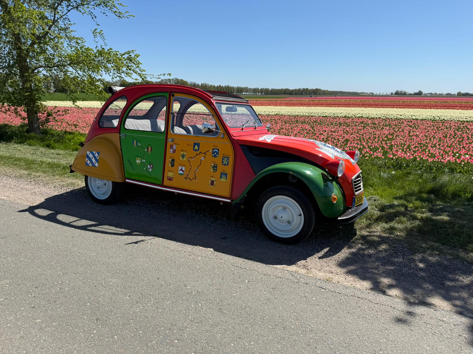 Johannes op tulpenroute